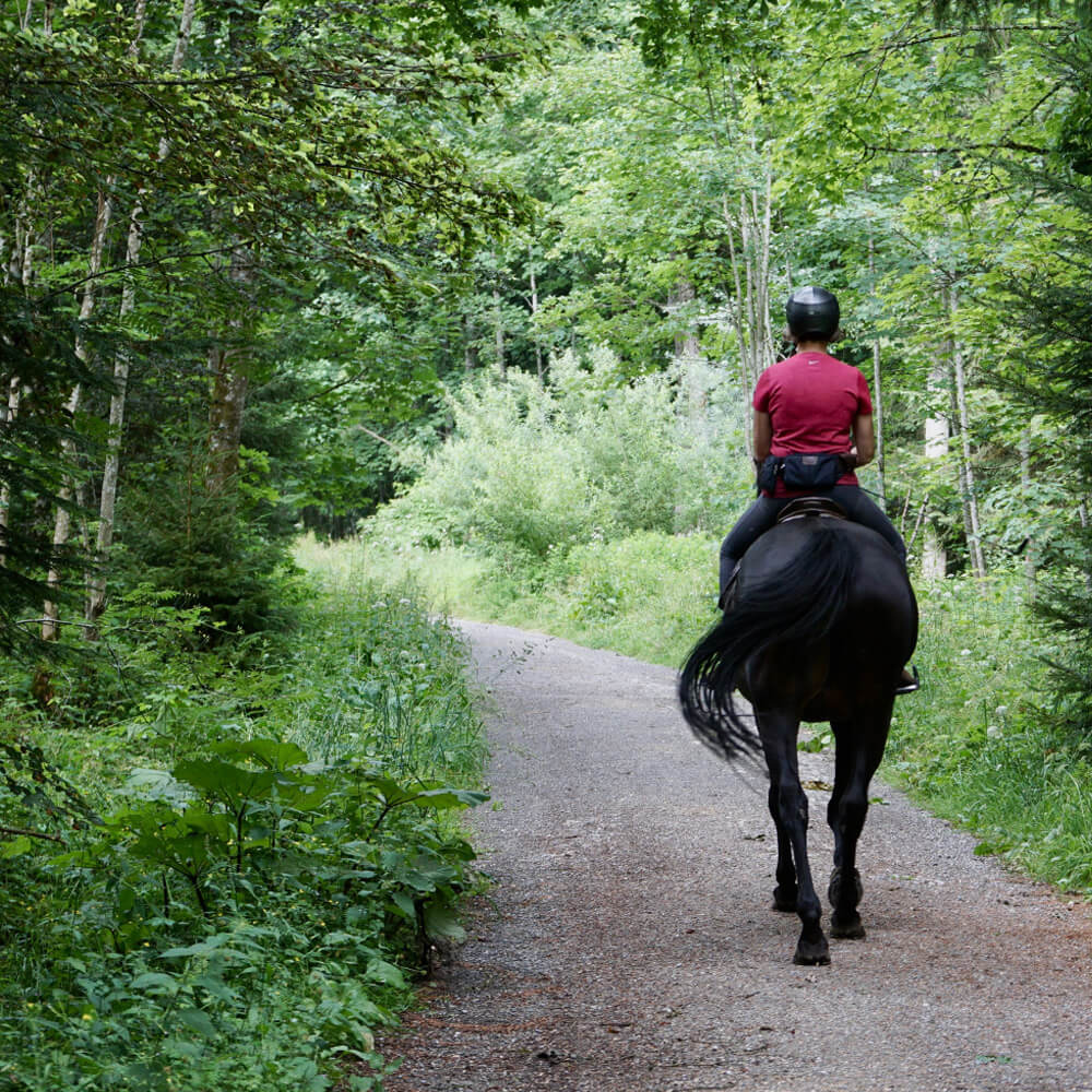 person riding a horse on a country track surrounded by forestry